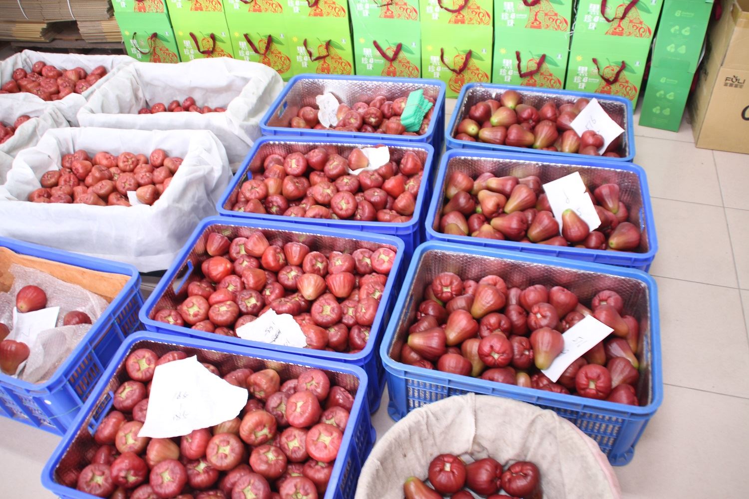 陸25 日起將停止34 項台灣農漁產品零關稅農業部：損失有限影響可控