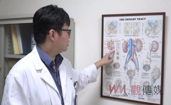 罕見泌尿道病變致腎衰竭 病因揭曉:滿滿結石覆蓋住泌尿道