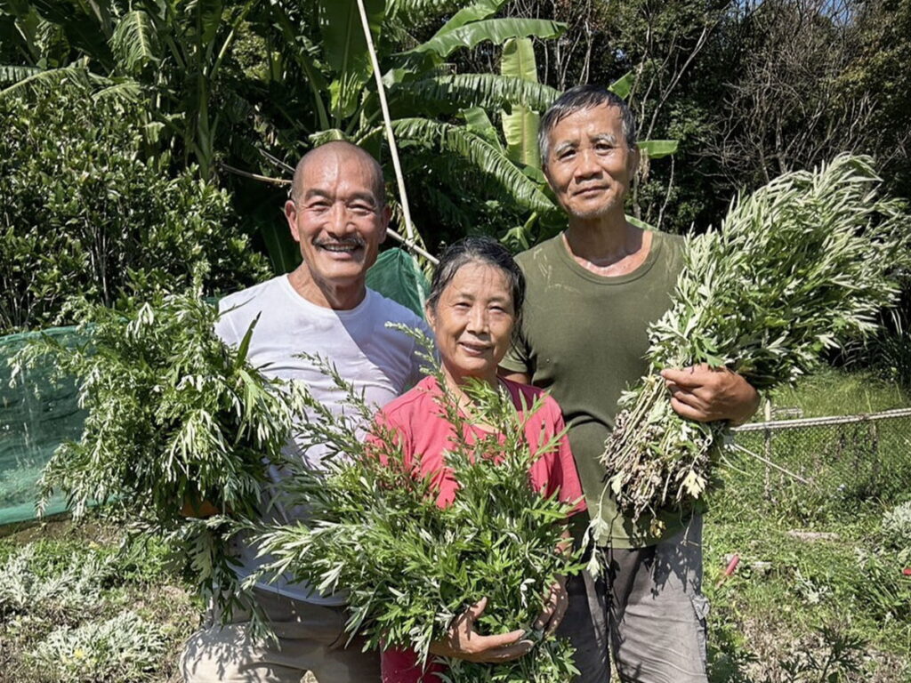 有機艾草收成_農友張認路(左)、創辦人江榮原(中)、地方創生總監蔡漢昌(右)