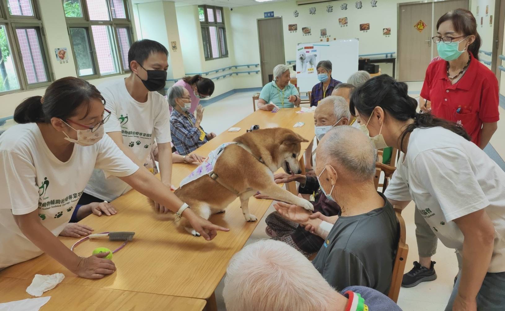 ▲彰化榮家與台灣動物輔助治療專業發展協會攜手合作，將動物輔助治療引入失智專區，提升失智長輩的生活品質。（記者張溎壕攝）