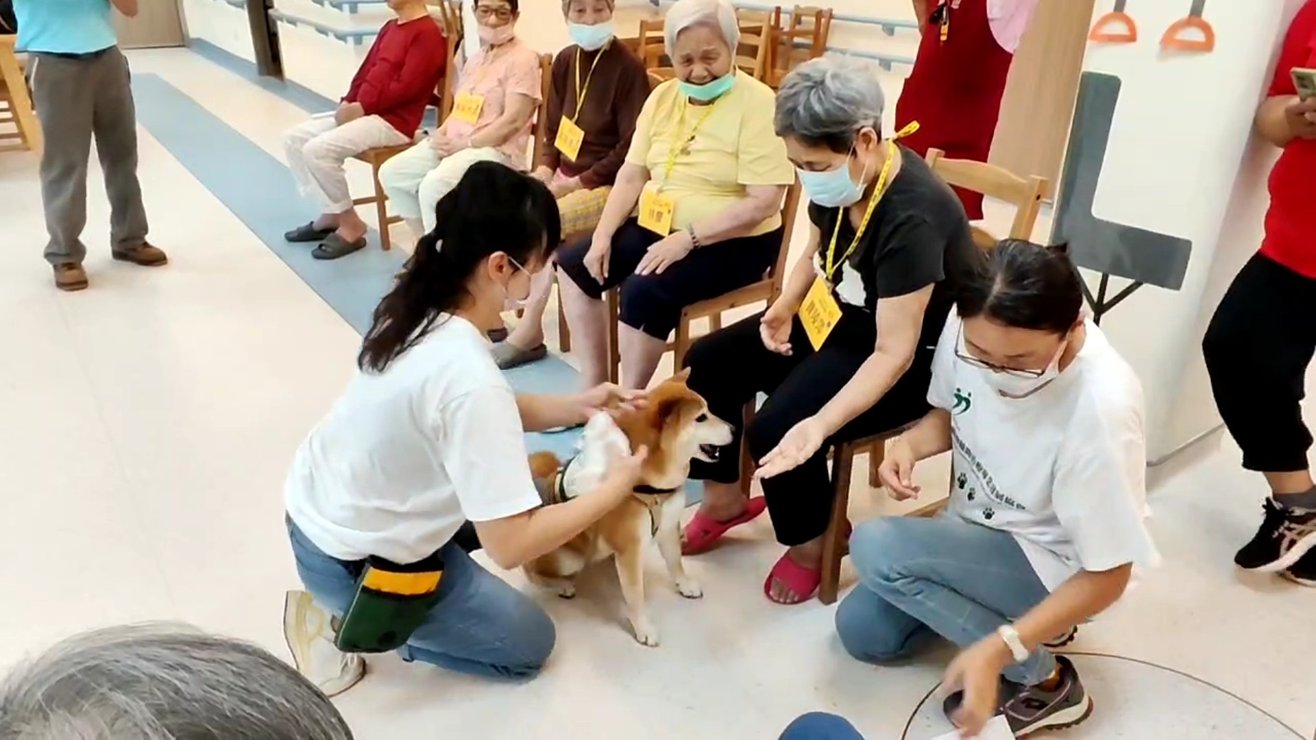 ▲彰化榮家與台灣動物輔助治療專業發展協會攜手合作，將動物輔助治療引入失智專區，提升失智長輩的生活品質。（記者張溎壕攝）