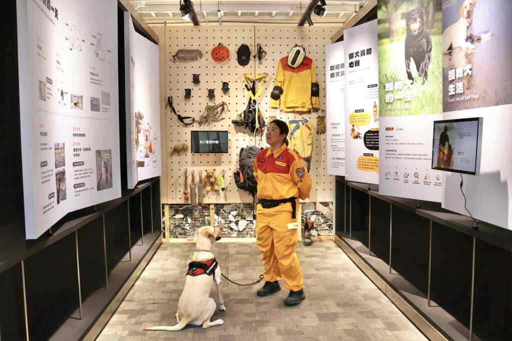 ▲《毛英雄與好夥伴》特展聚焦今年4月3日發生的花蓮地震,展示各縣市搜救犬隊抵達搜救現場的第一手影像與資料,真實記錄搜救犬如何在災難中運用高度專業技術,挽救無數生命。(國立自然科學博物館提供)
