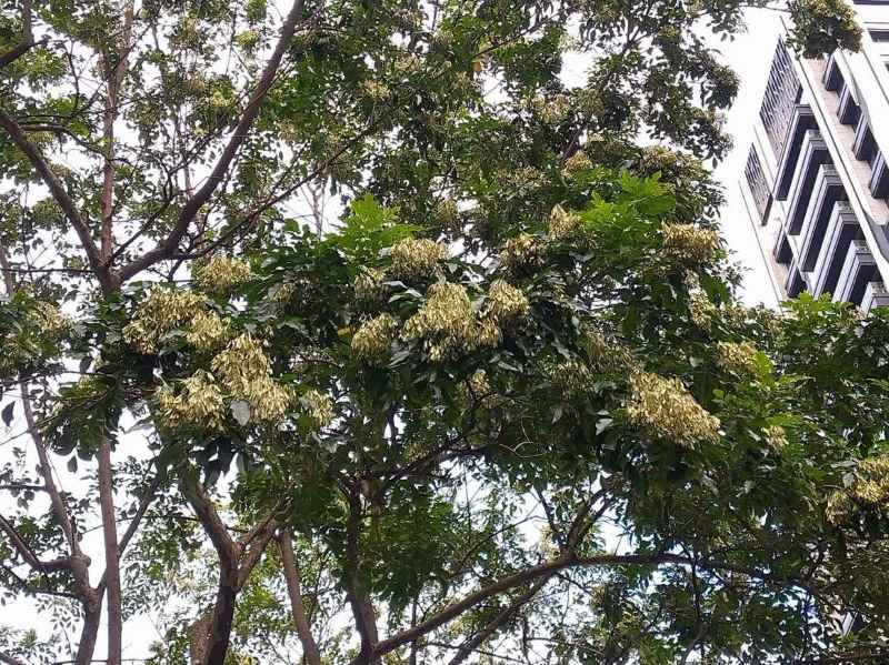 (圖/示意圖)
