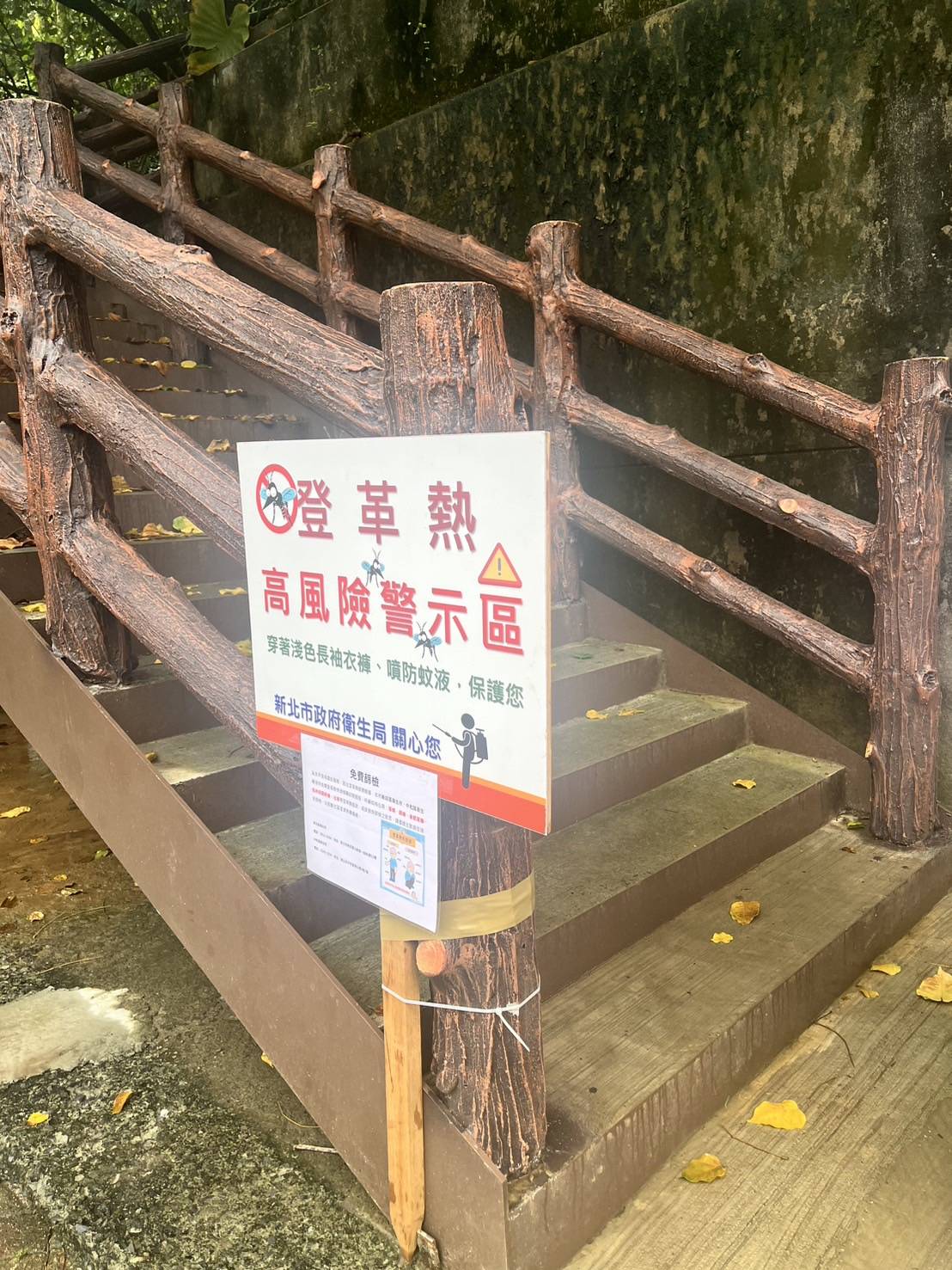 新北新增3例本土登革熱　市府提醒民眾做好防蚊措施　如有疑似症狀請儘速就醫