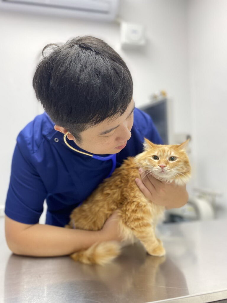 小布動物醫院院長吳乃聖獸醫師呼籲:除了觀察貓犬的日常行為和飲食習慣,定期健檢也是維護牠們健康的重要一環