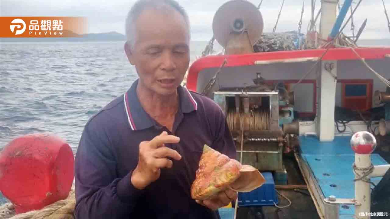 活化石龍宮貝以12萬賣出!買家「為愛心放生」船長出海野放