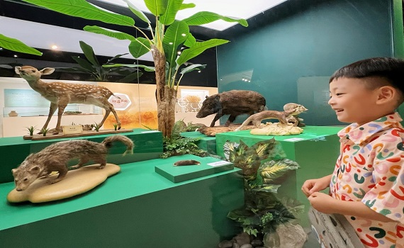 十三行博物館「世界動物日」 用文蛤打造史前時尚