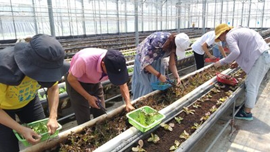 為協助勞工就業!中市勞工局開辦農事職場體驗 培育生力軍