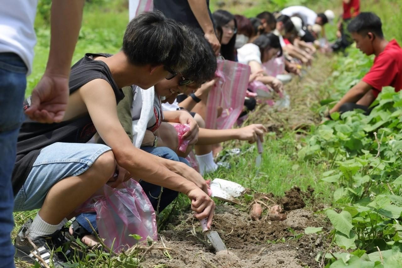 金山漫遊結合農業資源與旅遊　全國首獲國際永續認證