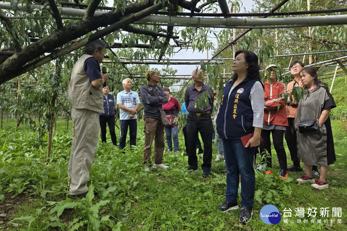 輔導拉拉山果樹產業再升級,桃市農業局舉辦水蜜桃栽培技術診斷研習。