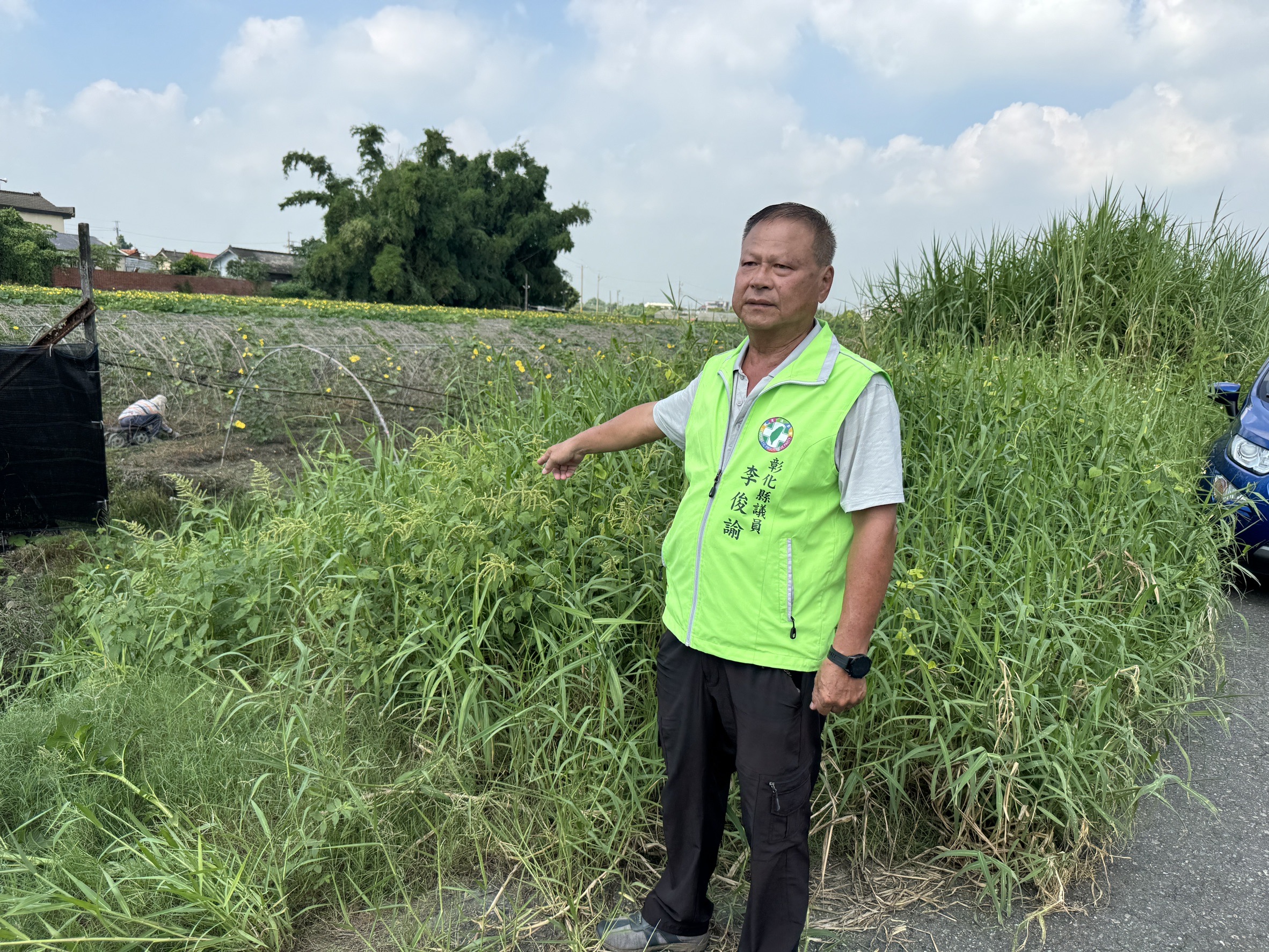 ▲溪州鄉的舊濁水溪堤岸兩旁的雜草生長茂盛,險些將兩旁道路遮蔽,已影響到居民的視線。(記者張溎壕攝)