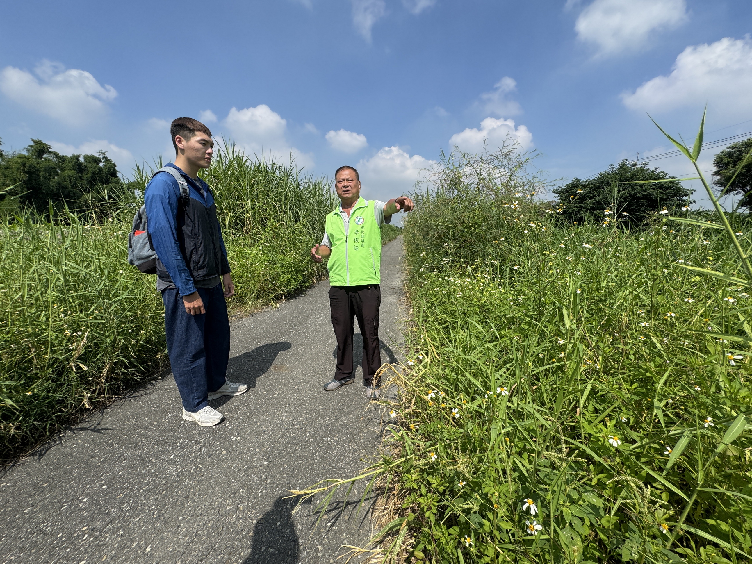 ▲溪州鄉的舊濁水溪堤岸兩旁的雜草生長茂盛，險些將兩旁道路遮蔽，已影響到居民的視線。（記者張溎壕攝）