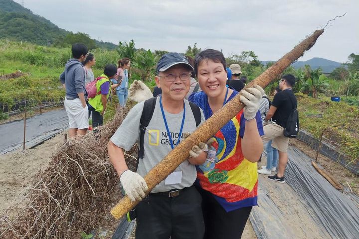 新北山藥上市!享用海陸珍寶宴 體驗採山藥、沙雕派對半價優惠