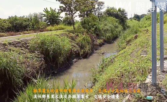 （有影片）／溪州鄉舊濁水溪堤岸雜草叢生　交通安全危機迫在眉睫