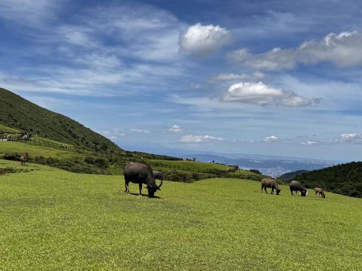 國旅小資省錢術!高鐵國旅聯票晚鳥優惠6折起 再抽國慶晚會門票聽江蕙演唱