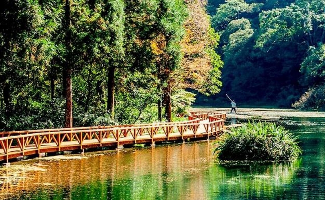 受山陀兒颱風外圍環流影響  福山植物園9/30至10/2預警性休園
