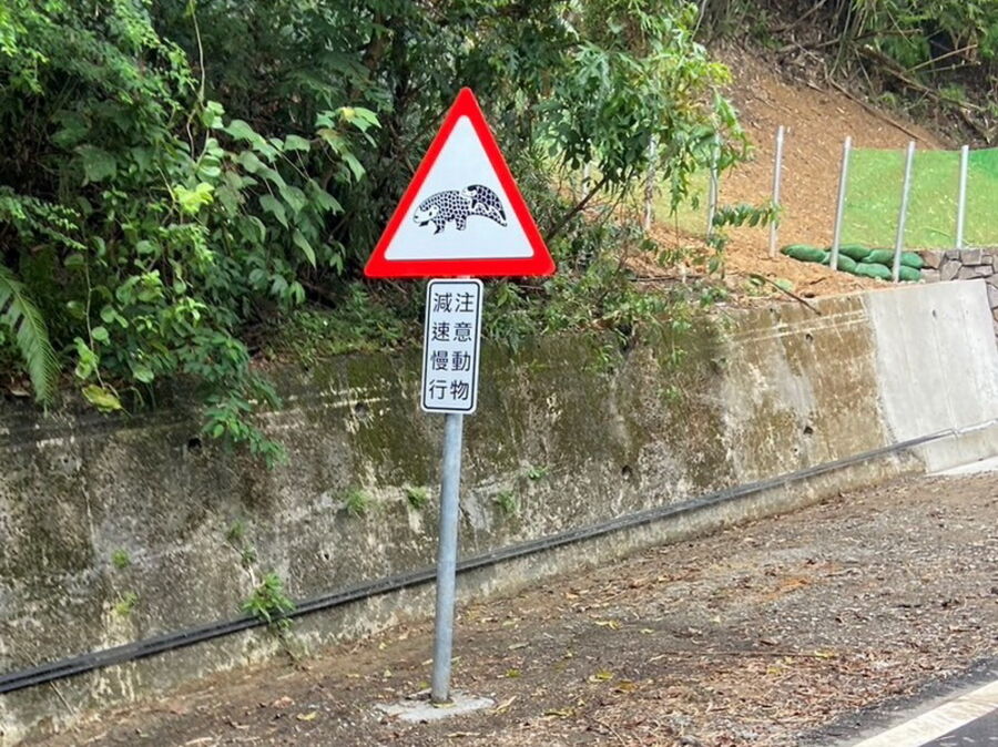 圖/汐止區八連路以穿山甲寶寶趴在媽媽尾巴上的生物習性為設計構想,新設道路警示牌。(新北市政府農業局提供)