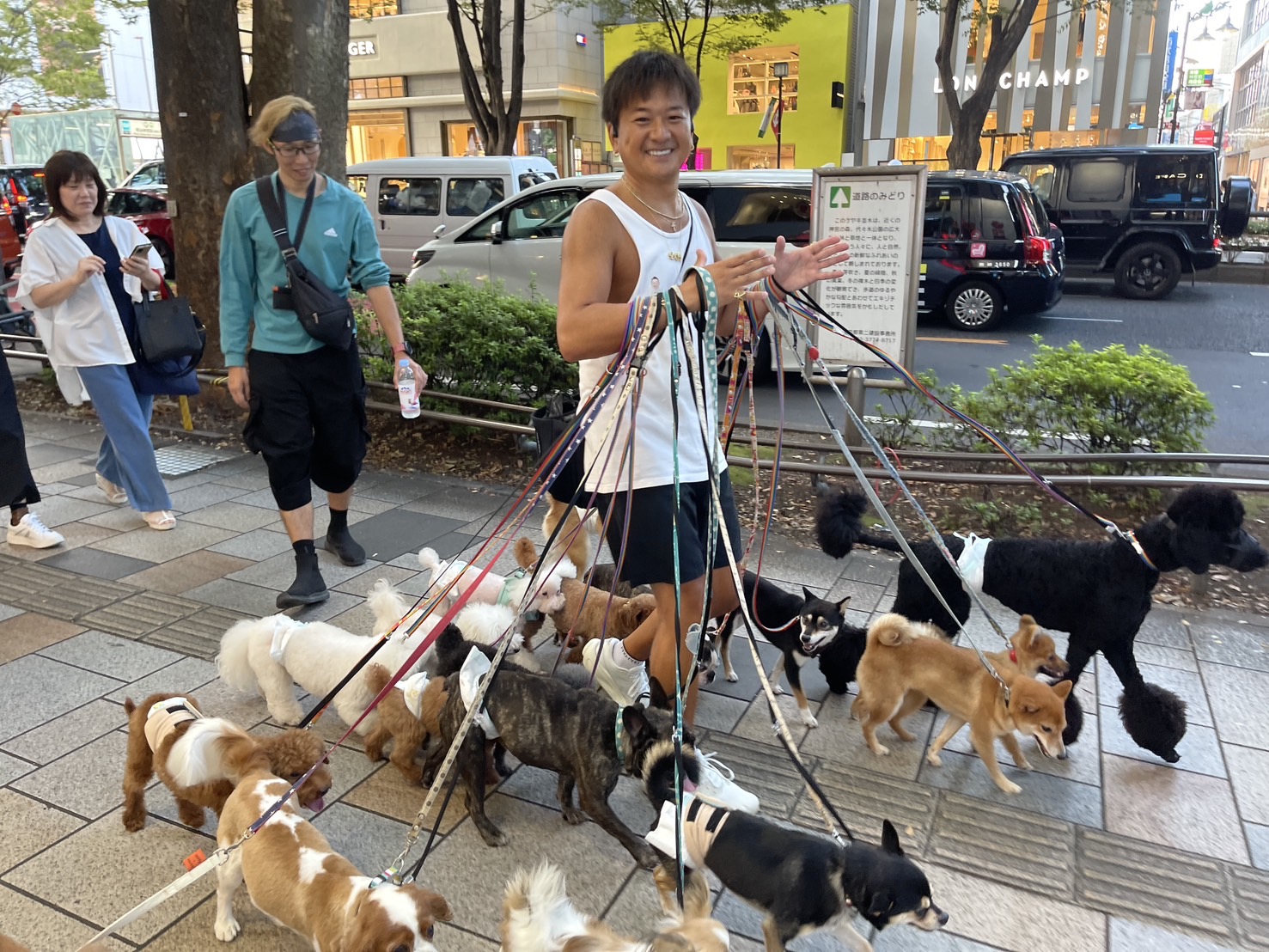 在東京熱鬧的街頭,就有著一位超級陽光的遛狗達人。圖/陳素貞攝