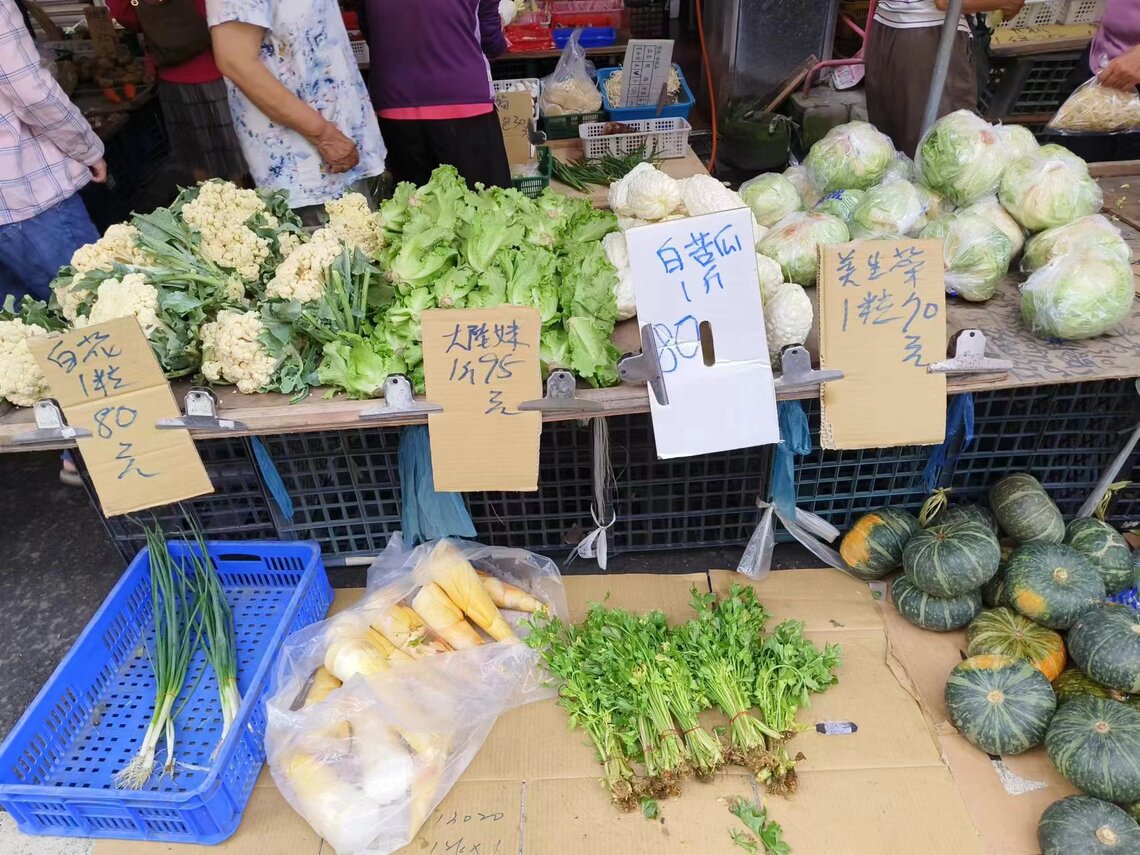 南部屏東  蔬菜預期心理  大漲
