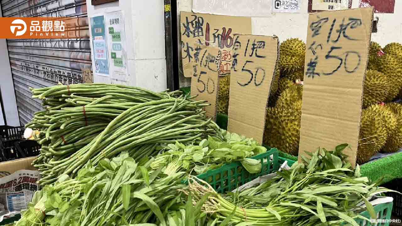 颱風山陀兒逼近!菜價創5年新高 高麗菜1顆250元