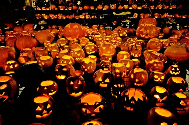 日本活動|2024年最應該親身共襄盛舉的日本秋冬祭典與萬聖節活動!