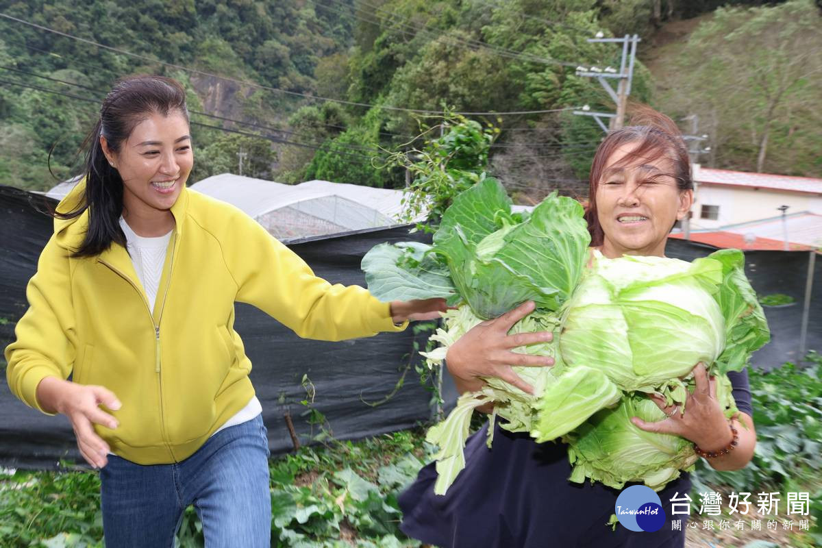 許淑華縣長實地了解農友搶收高麗菜、敏豆等蔬果的情況。(圖/縣府提供)