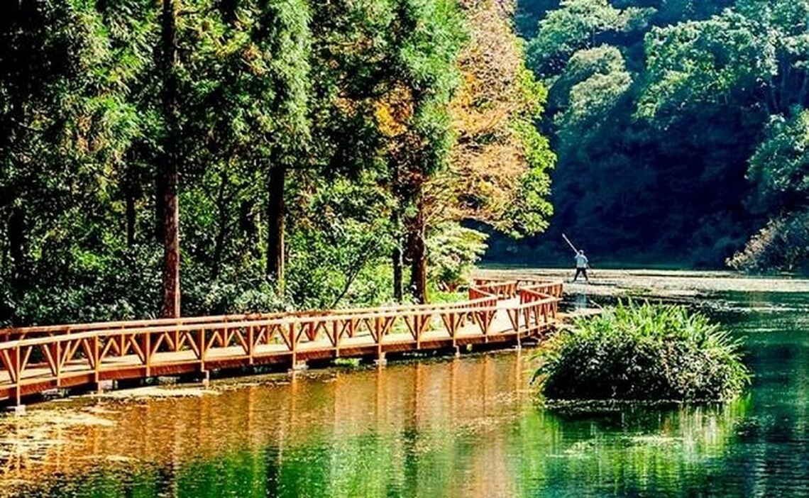 山陀兒颱風影響 福山植物園10/3-4持續預警性休園
