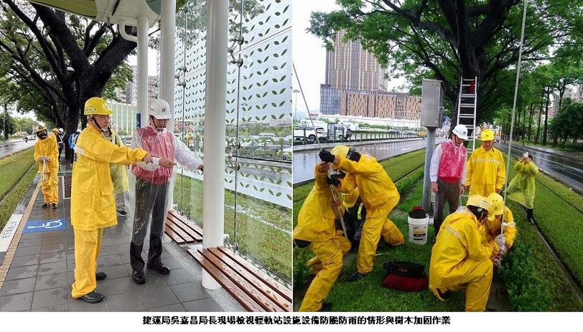 颱風影響延長 高雄輕軌團隊運用雨勢暫歇 持續以纜索加固沿線雨豆樹 確保綠蔭與輕軌安全