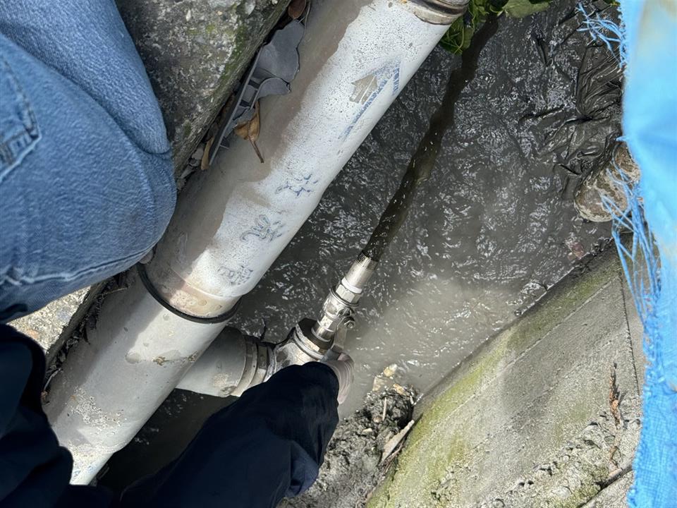 ▲正值欒樹花季，東螺溪部分河段散發養豬場廢水異味，彰化縣環保局展開專案稽查，有1家違反排放規定依法開罰。（記者張溎壕翻攝）