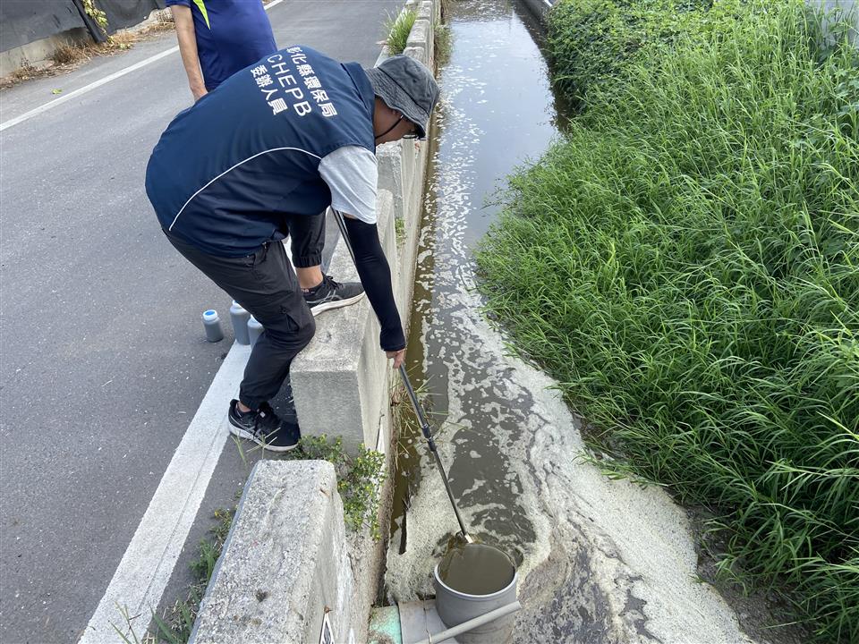 ▲正值欒樹花季，東螺溪部分河段散發養豬場廢水異味，彰化縣環保局展開專案稽查，有1家違反排放規定依法開罰。（記者張溎壕翻攝）
