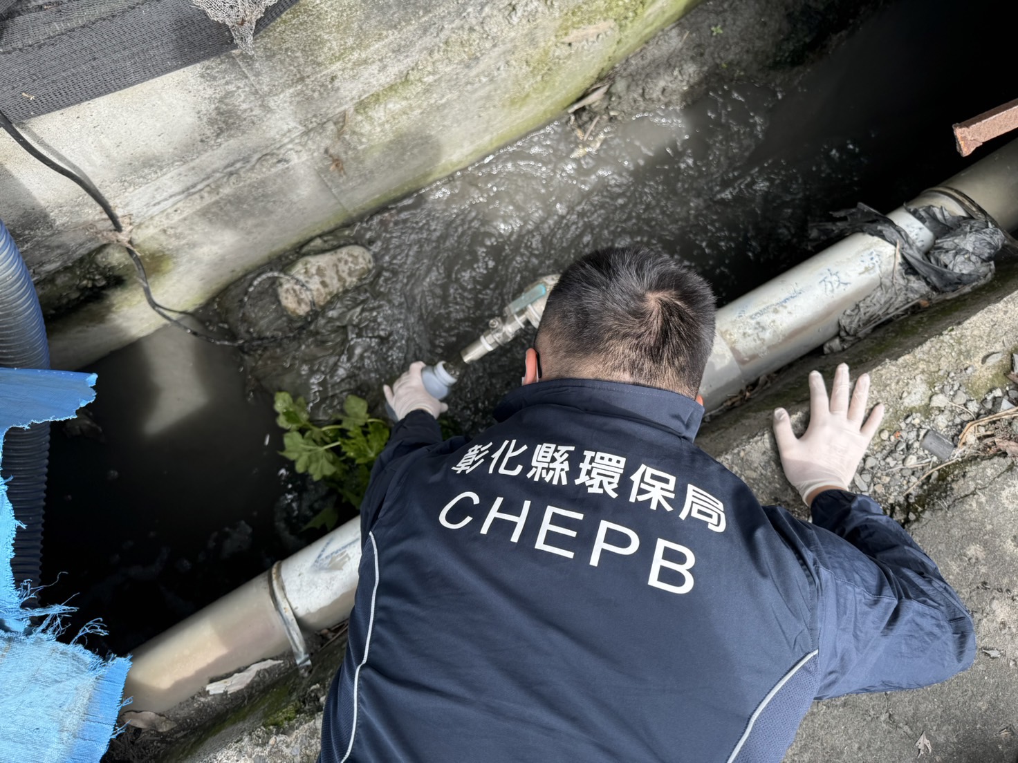 ▲正值欒樹花季，東螺溪部分河段散發養豬場廢水異味，彰化縣環保局展開專案稽查，有1家違反排放規定依法開罰。（記者張溎壕翻攝）