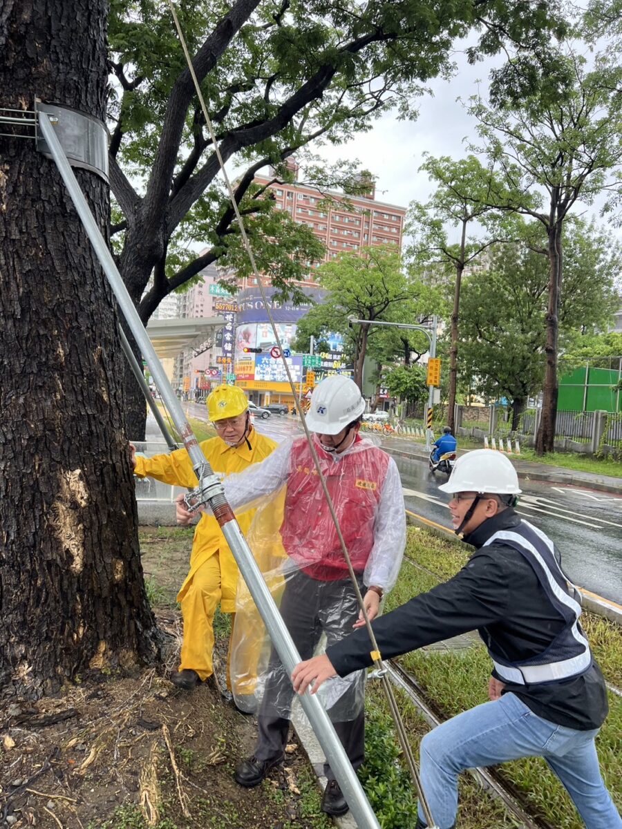 高雄輕軌團隊因應颱風影響 加強雨豆樹及設施安全措施