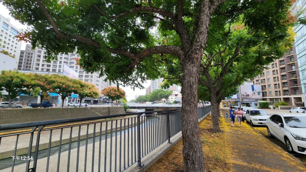 山陀兒颱風來襲,今(2)日,台中市西區中午時間的風量極小,下一點點毛毛雨。(陳惠玲攝影)