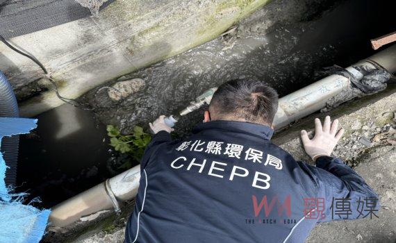 欒樹花開季節 彰化環保局出重拳對抗畜牧廢水排放