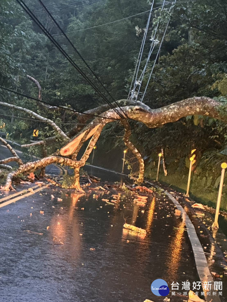 山陀兒颱風造成大樹倒塌/台電嘉義區處提供