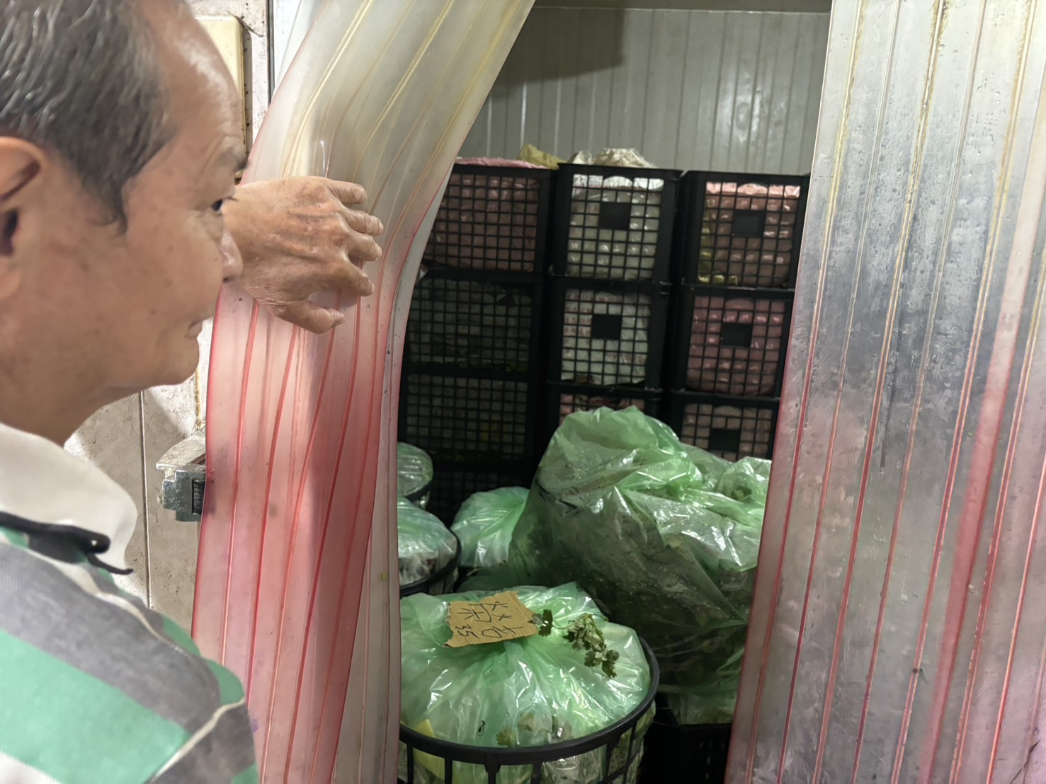 ▲山陀兒颱風帶動蔬菜價格持續上漲，香菜價格不漲反跌，農民的冷藏庫堆滿香菜。（記者張溎壕攝）