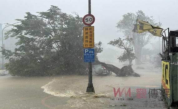 中度颱風《山陀兒》風強雨狂 高雄樹倒壓毀自小客車