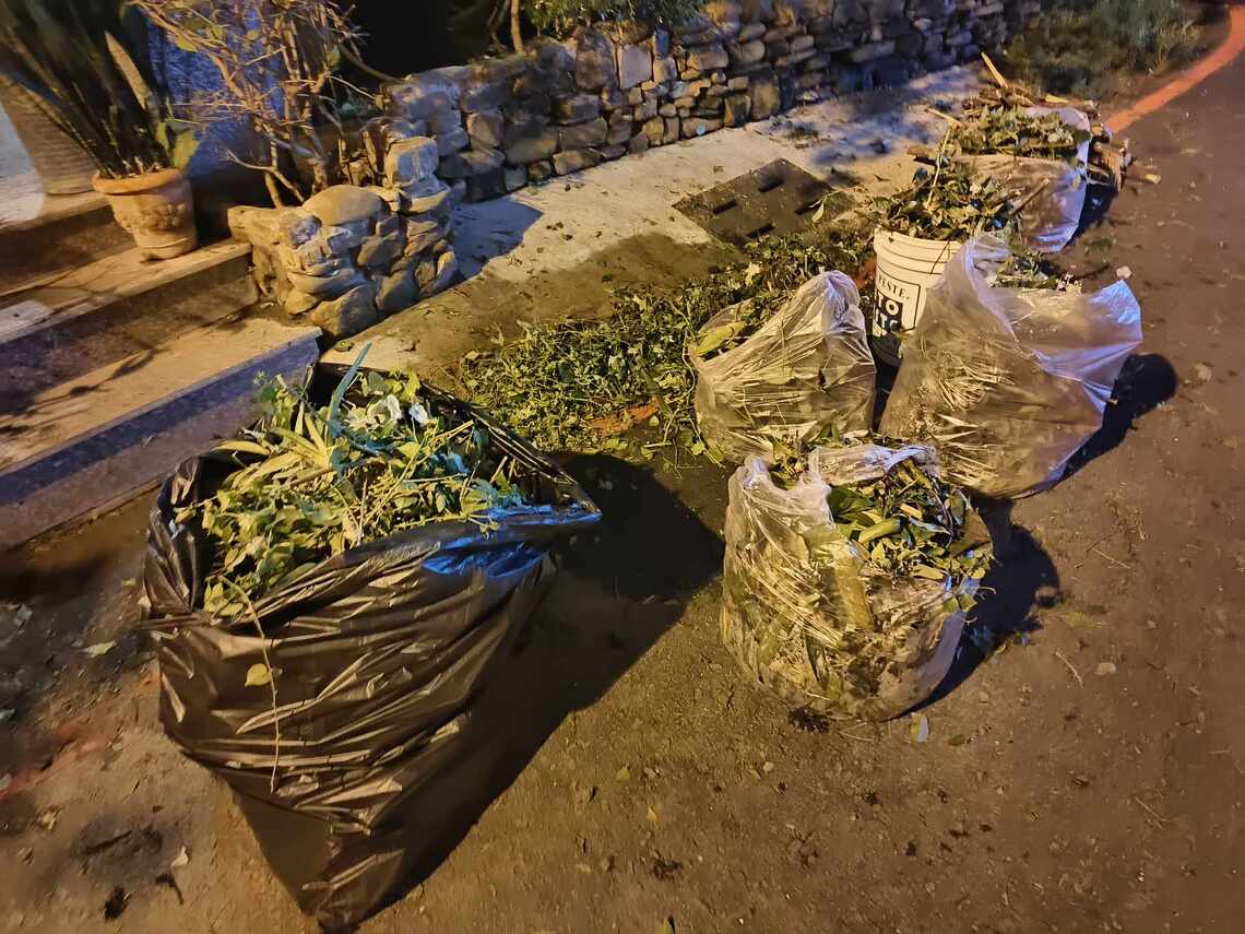 颱風之後 枝葉及廣告珍珠板成為垃圾大宗