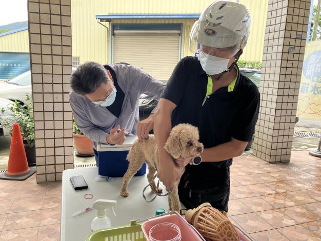 動保所呼籲民眾務必遵守「2不1要」,不接觸野生動物、不棄養家中寵物、每年要帶家中犬貓施打狂犬病疫苗。