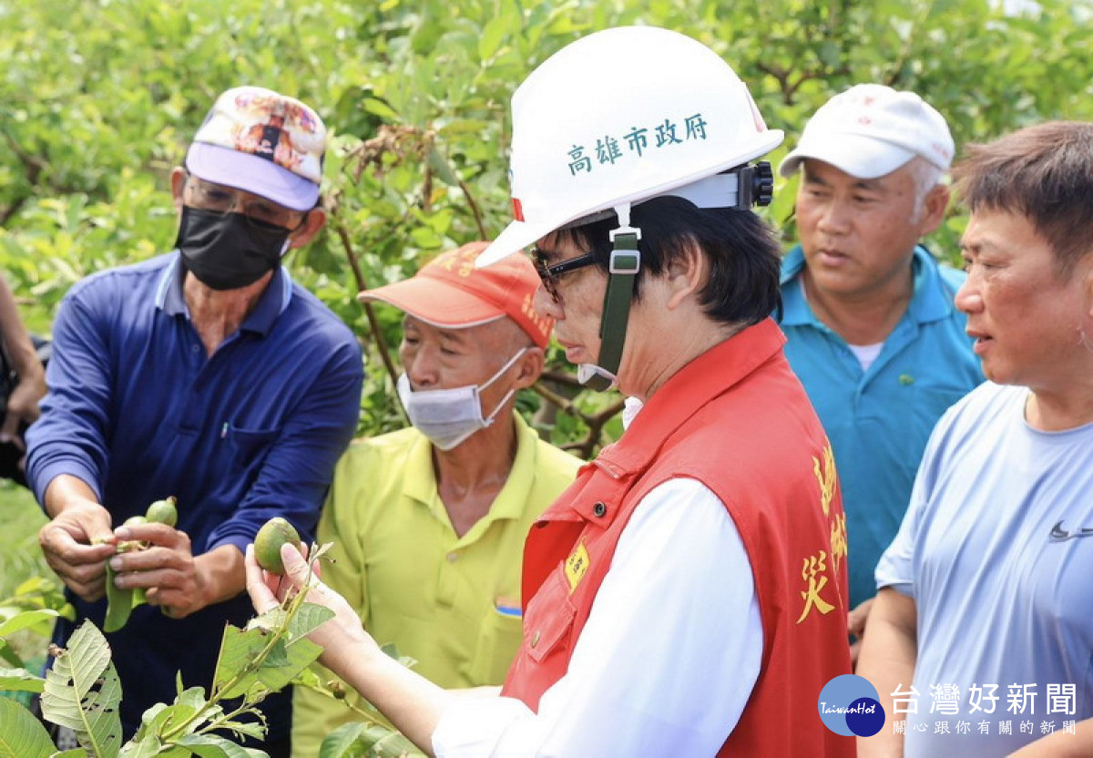 ▲陳其邁前往大社視察蜜棗農損情形親自傾聽果農心聲，承諾市府會從寬從優盡速進行災害的履勘。