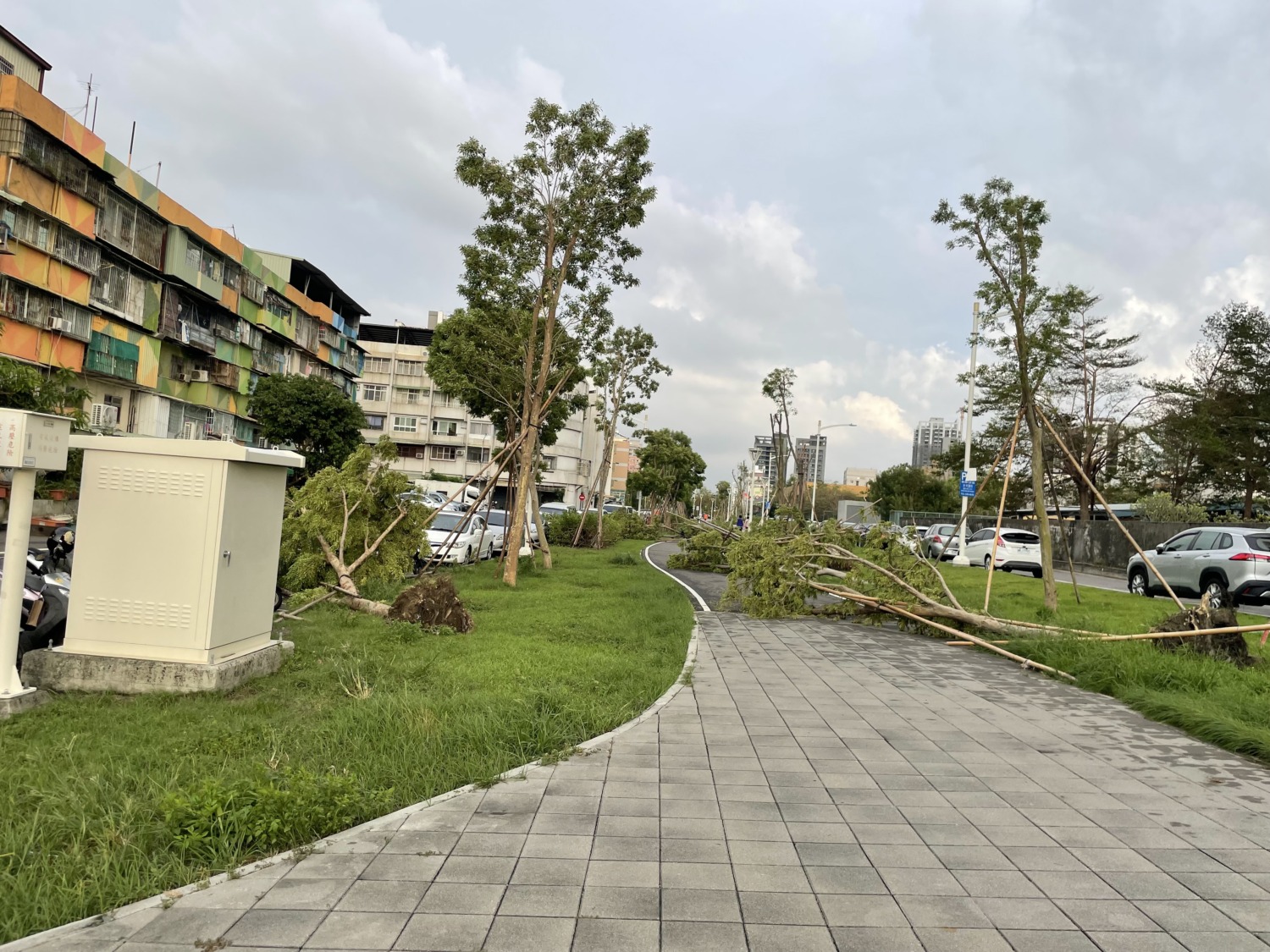 高市鐵路地下化園道風災後 經積極清理扶正已恢復市容