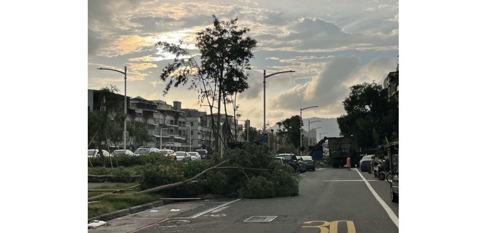 高市鐵路地下化園道風災後搶修完成 已恢復市容