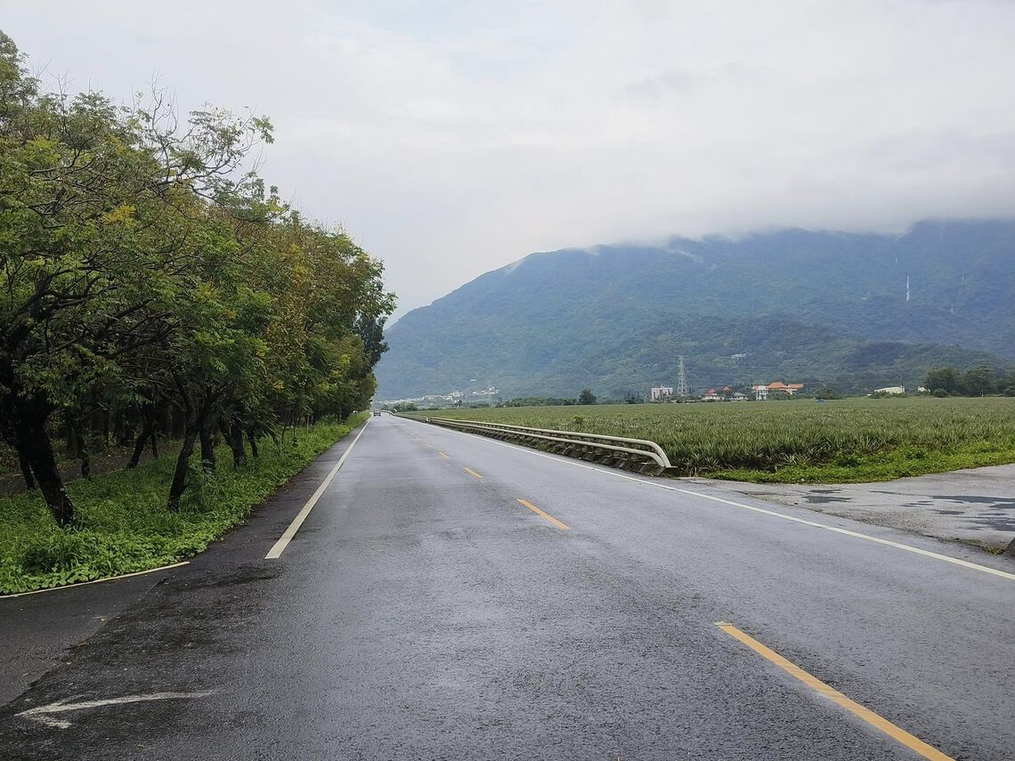 屏東縣185公路 颱風之後巡視 路樹沒倒