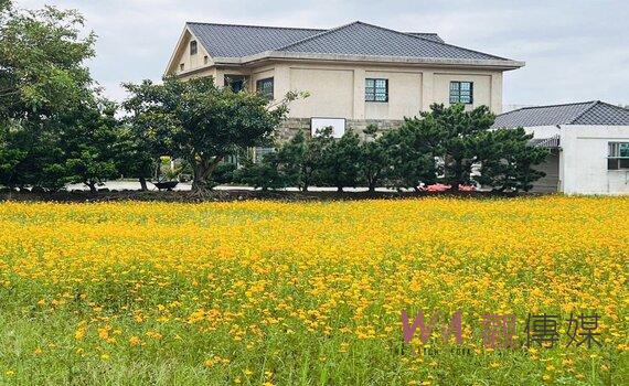 桃園花現中壢農遊趣揭幕 歡迎民眾前往欣賞花海體驗農遊樂趣