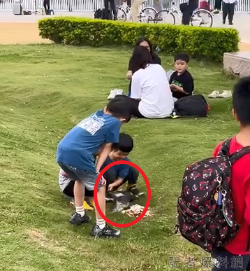 一群小朋友在草地上拉址鴿子還強迫牠進食。社團法人台灣鳥類救援協會提供