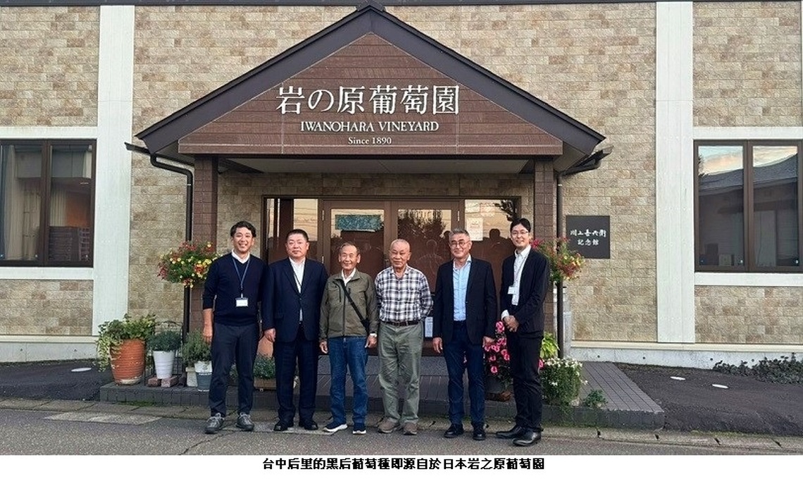 橫跨世紀台后里葡萄溯源之旅 向日本葡萄之父川上善兵衛致敬