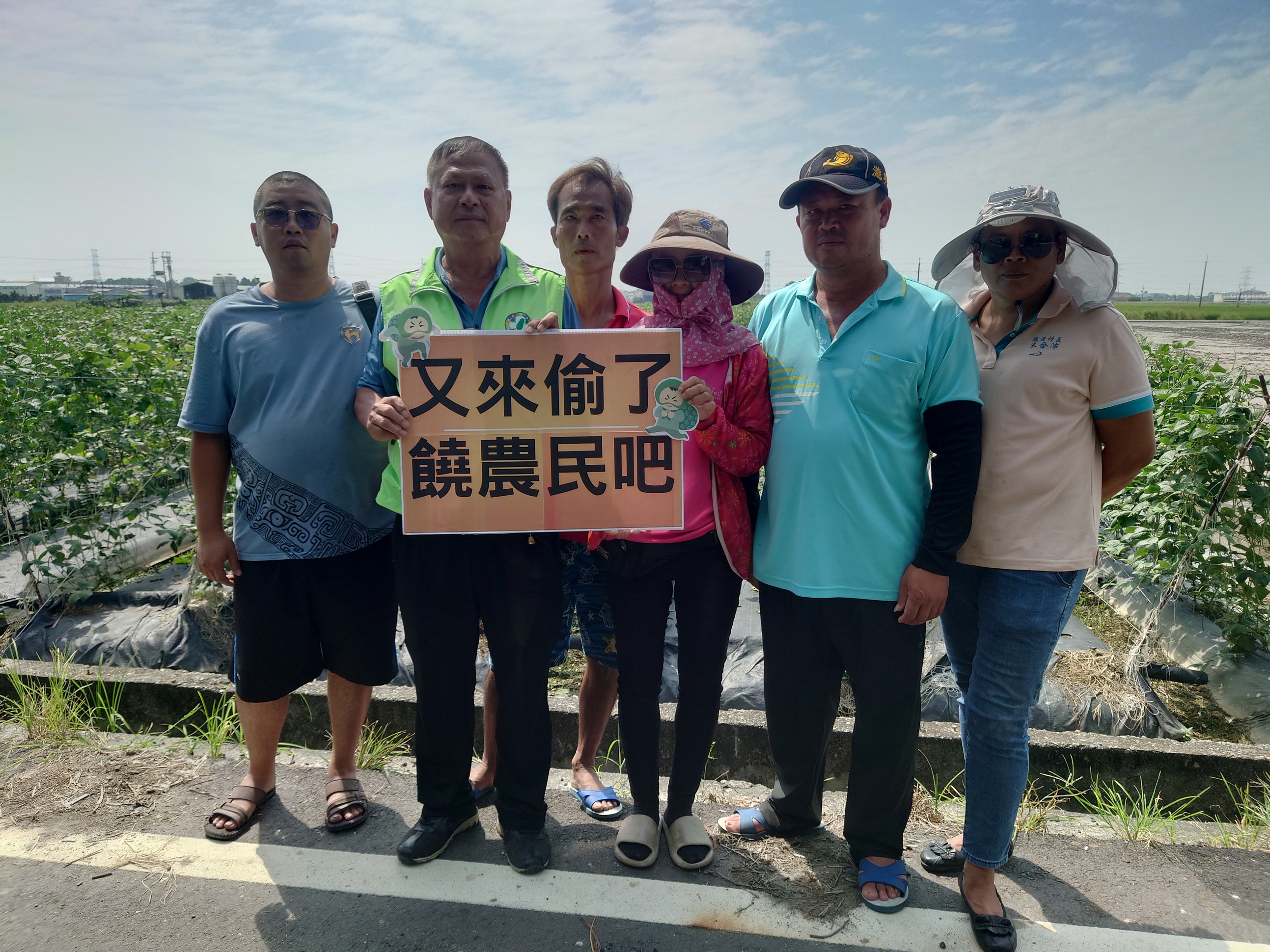 ▲溪州鄉潮洋村、張厝村一帶田間蔬菜連日來遭竊，農民氣瘋了，直呼竊賊太囂張。（記者張溎壕攝）