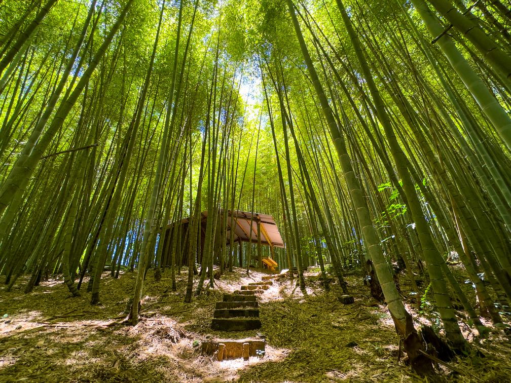 擁抱秋意!瑞里2日慢旅 體驗山林間的靜謐