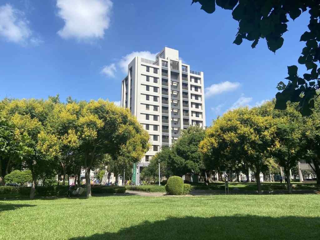 ▲灣欒樹做為台灣原生樹種之一，擁有極強耐旱性與適應力，是城市綠化的一環。（台中市建設局提供）