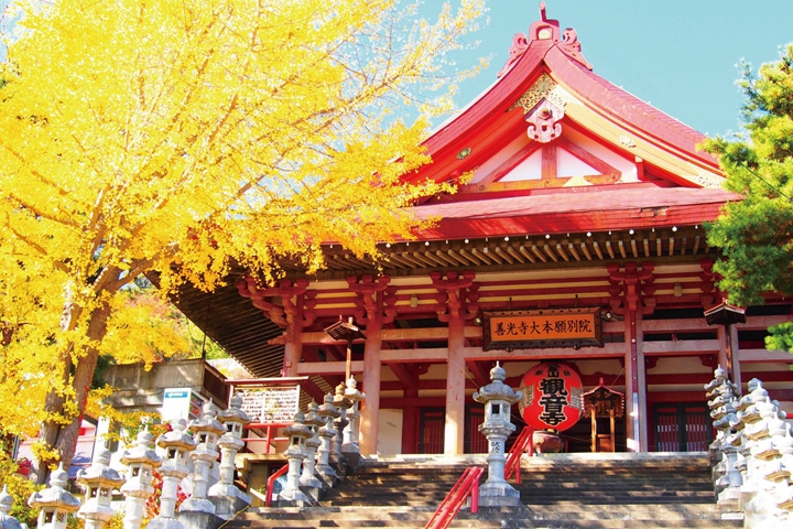 秋天來了!長野縣千曲市楓情萬種名所5選